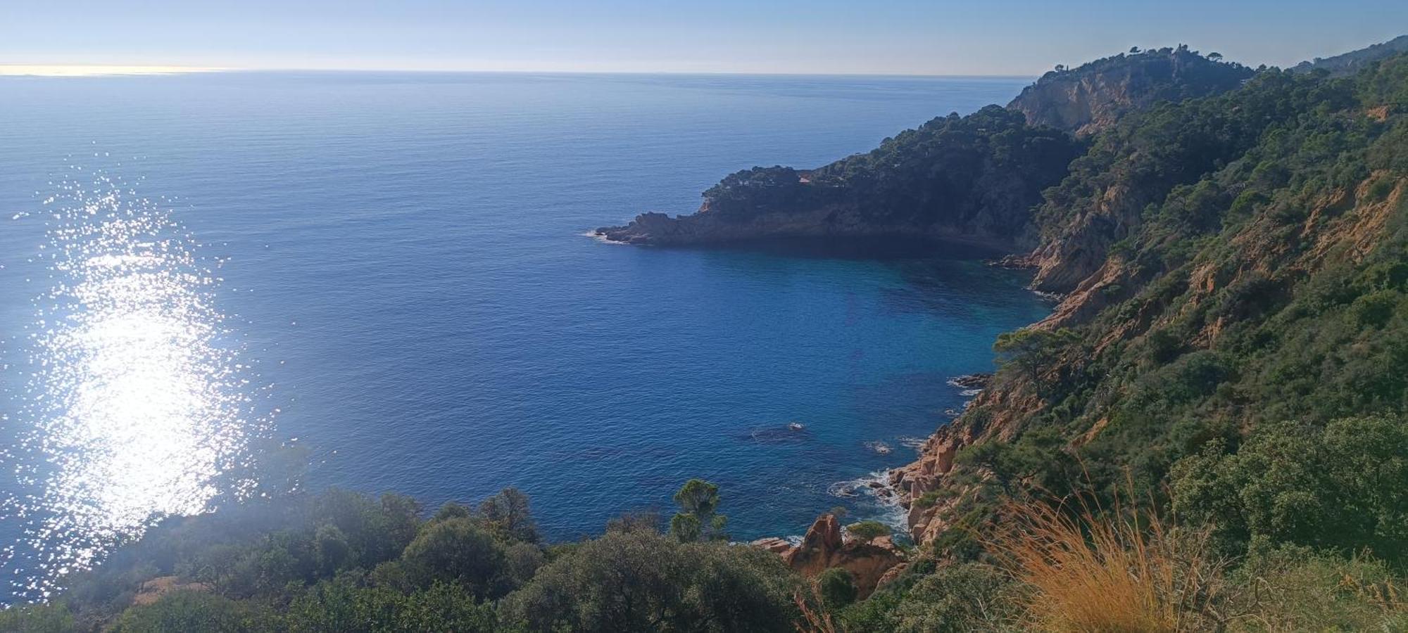 Cala Salions Balandro II Tossa De Mar Apartment Canet De Mar Exterior photo